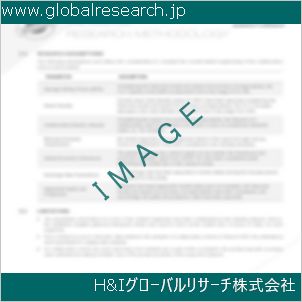 グローバルリサーチ調査資料のイメージ